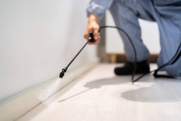 Professional exterminator conducting IPM assessment in Irondale