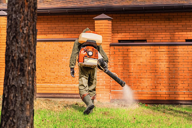 Bed Bug Clearance Verification and Documentation in Irondale